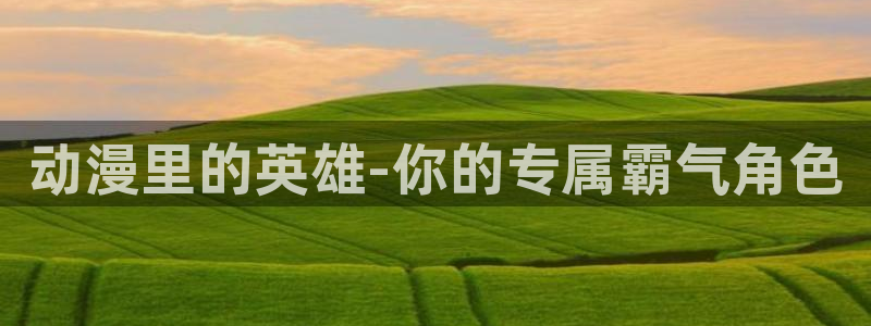 age动漫网上看：动漫里的英雄-你的专属霸气角色