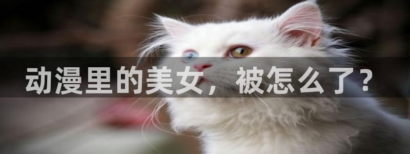 age漫画网：动漫里的美女，被怎么了？
