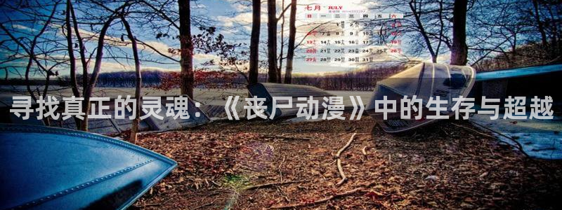 age动漫omofun：寻找真正的灵魂：《丧尸动漫》中的生存与超越