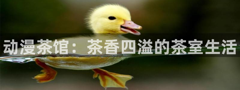 age动漫官网入口老版本：动漫茶馆：茶香四溢的茶室生活