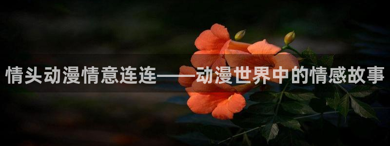managereader漫画官网入口：情头动漫情意连连——动漫世界中的情感故事