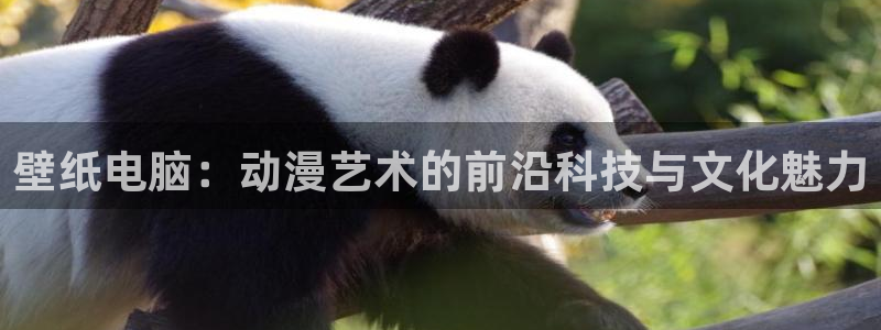 colomanage漫画官网：壁纸电脑：动漫艺术的前沿科技与文化魅力