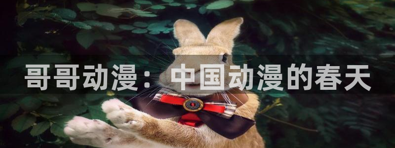 在线动画动漫下载age动漫：哥哥动漫：中国动漫的春天