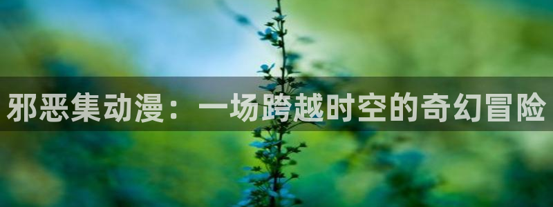 age动漫网上看：邪恶集动漫：一场跨越时空的奇幻冒险