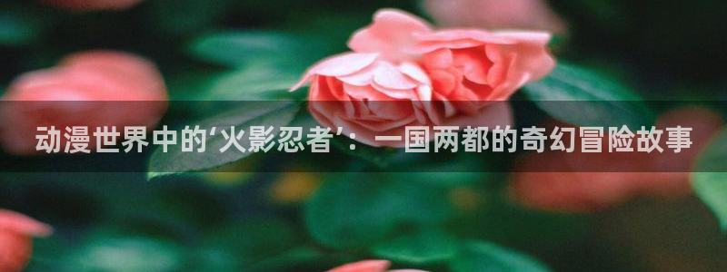 age专注动漫的门户网站