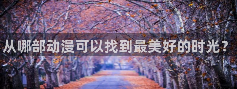 age专注动漫的门户网站