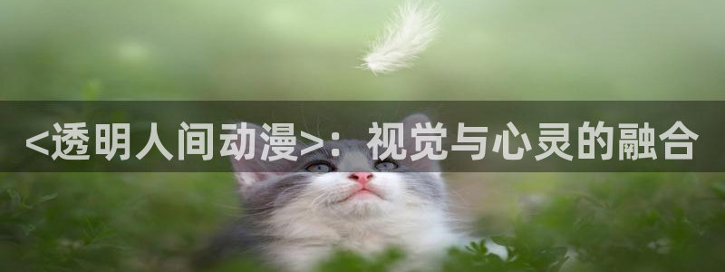 age动漫网上看