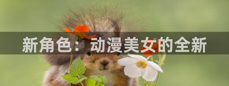 age动漫网上看
