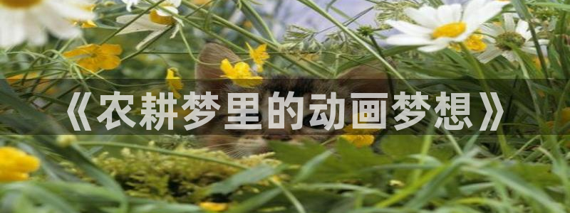 age动漫下载入口