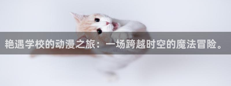age动漫官网网址