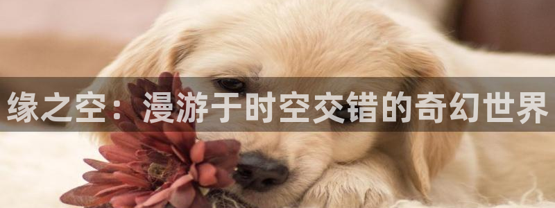 age动漫网官网入口