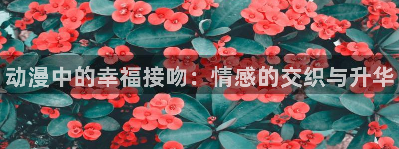 age动漫